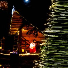 Bartłomiej Ostrowski